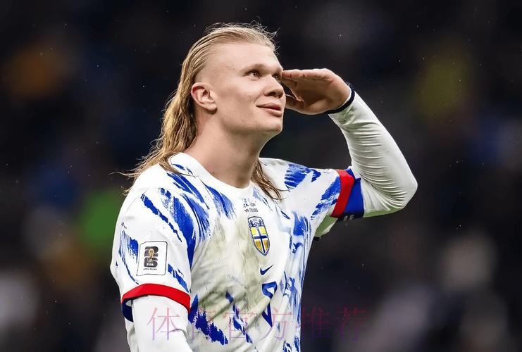 最新世界杯葡萄牙哈兰德比赛解读权威解读