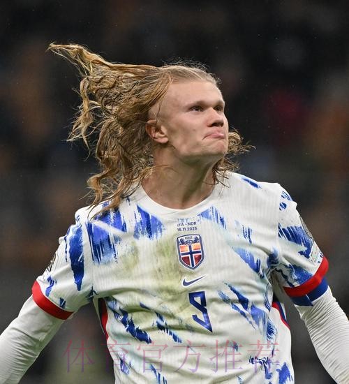 最新世界杯葡萄牙哈兰德比赛解读权威解读