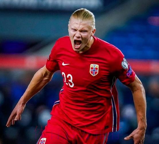 最新世界杯葡萄牙哈兰德比赛解读权威解读