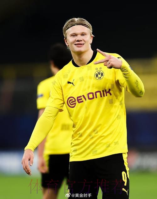 世界杯比利时哈兰德赛事预测全解析