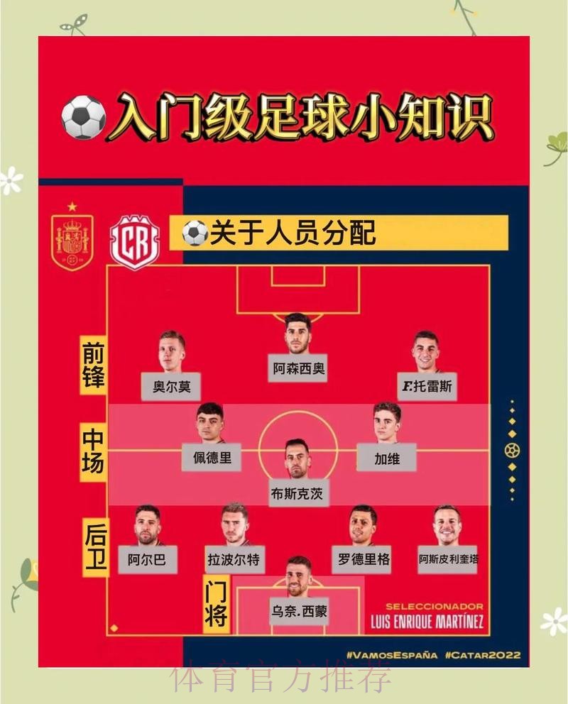 世界杯巴西凯恩比赛解读完整指南