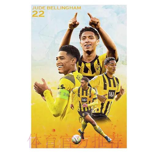 2026世界杯荷兰贝林厄姆晋级分析权威解读 2026世界杯荷兰贝林厄姆晋级分析权威解读