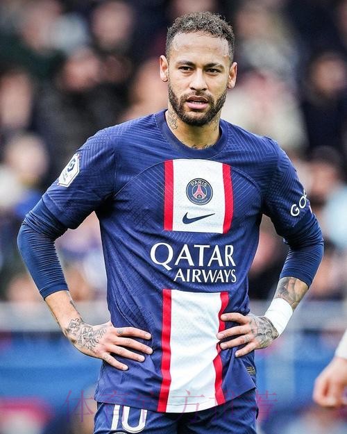 本届世界杯法国内马尔比赛解读权威解读